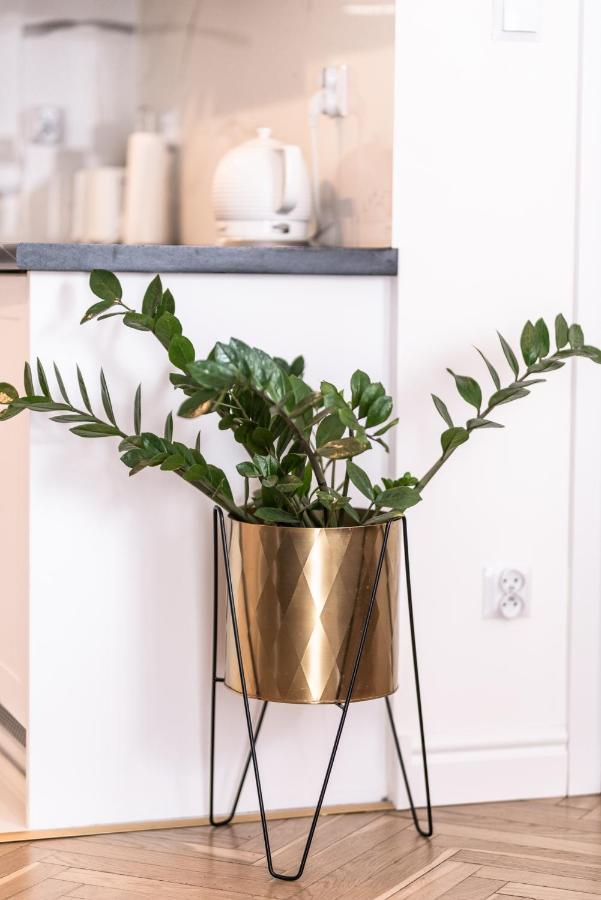 Apartament Olawska Vratislav Exteriér fotografie